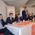 Preşedintele Partidului Democrat Liberal, Vasile Blaga, a declarat joi la Drobeta-Turnu Severin, unde şi-a prezentat moţiunea “România Dreaptã. PDL – Politica dincolo de lozinci”, cã prin plecarea sa Mihai Stãnişoarã...