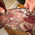Cît de alterate sînt instituţiile statului, dacã a trebuit sã intervinã S.R.I. pentru anihilarea unei reţele de trafic cu tone de carne stricatã şi evaziune fiscalã, sprijinitã, potrivit declaraţiei procurorilor,...