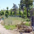 Sucã, patrimoniu lu tanti Chircu, bãlãriile lu nea Titel, alba-neagra di la Consiliu Judeţan cu banii di la spital şi urãtorii lu nea Duicu de pin cafenele În urmã cu fro sãptãmânã, tanti Chircu, pusã şefã peste patrimonial muzeal al Mehedinţiului de nea Duicu, ieşi la scandal. Descoperi cã dispãruserã bunuri de patrimoniu di la daci şi...