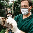 Adevãrul despre Ebola, „Monsanto”, „Bill & Melinda Gates Foundation” şi „Fundaia Sörös” Se minte cu neruşinare Pe principiul, „ban la ban şi pãduche la pãduche”, Bruxelles-ul susţine ca fiind indispensabilã o creştere a salariilor în Germania, „pentru ca ţara sã-şi poatã ajuta...