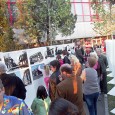 Muzeul Regiunii Porţilor de Fier, ca în fiecare an, se implicã în organizarea unor evenimente culturale, care sã se plieze cât mai bine cu Calendarul ZILELOR SEVERINULUI, propus de Primãria...