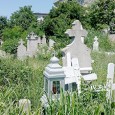 Severinenii îşi duc somnul de veci printre buruienile nepãsãrii Primãriei oraşului La cap pãpuşã, la fund mãtuşã, aşa s-ar putea spune despre modul cum administraţia cimitirului ortodox din Turnu Severin înţelege sã-şi facã datoria. În timp ce pe aleile centrale este...