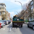 Sucã, nea Cîrjan şi , cartea poştalã a lu nea Bãlu şi nea Gherghe taietoru de crenguţe Mã mehedinţenii mei cetitori de Obiectiv, anu ãsta e unu electoral, aşa cã uitaţi-vã bine la candidaţi, mãsuraţi-i din oichi şi din priviri, chiar dacã unii nu ajung pânã la...