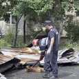                Mã nepoate, acuma, cã tot e varã şi cald afarã, dai cu tunu şi nu dai de vreunu din ai noştri ca brazii politicieni, aşa cã dacã ai o...