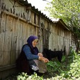 Ce-am avut şi ce-am pierdut? Dacã stai sã analizezi sumar, în cele mai multe oraşe ale ţãrii se regãsesc, fãrã niciun fel de probleme, relicve ale comunismului. Dacã stai sã te uiţi la anumite...
