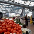 Mã fraţilor, sã rãsturnã nea primarele di la Gogoşu cu maşina, taman pin Bulgaria, de era sã ne lase fãrã un gospodar pin Mehedinţi, cã mãcar a mai mişcat una,...