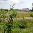 Sucã, leneveala parlamentarilor mehedinţeni, promisiunile di la consiliu şi primele pentru nevestele ortacilor Mã nepoate, vacanţa asta e pentru unii fro câteva zile, cã pe urmã trebe sã se întoarcã la muncã, iarã pentru alţii e pe ani de zile. Pã cum...