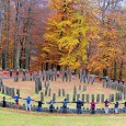 Învãţãm sã convieţuim armonios proiect educaţional interjudeţean de promovare a tradiţiilor istorice ale  judeţului Hunedoara                În perioada 28-30 octombrie, Colegiul Tehnic Energetic „Dragomir Hurmuzescu” Deva a gãzduit proiectul cultural...