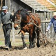                Lucrurile sunt destul de clare pentru România şi nu este cazul sã ne mai ascundem dupã deget. Sãrãcie. Sigur cã este un fel de a spune, pentru cã degetul...