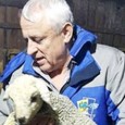 Mã nepoate, îţi povestii cum rãmasã nepotu-miu Sucã nãrod la vatrã, din armatã, îţi spusei sau nu?! Dacã nu-ţi spusei, poate e timpu sã afli. Pã totu începu când sã...