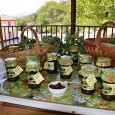 Anunţ public privind decizia etapei de încadrare a acordului de mediu &nbsp; SC LUISICU ALLIS SRL, titular al proiectului, anunţă publicul interesat asupra luării deciziei etapei de încadrare de către...