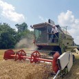                Gata, mã nepoate, vine civilizaţia peste noi. Am aşteptat-o cam aşa cum i-am aşteptat pe americani, da acuma vine. Se dete drumu la robinet, o sã curgã valuri de...