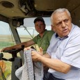    Cãldurã mare, mã fraţilor, cetitori de Obiectiv, nãduşim pãnã nu mai putem. Da sã zicem cã asta e partea bunã, cã am putea economisi niscaiva cãldurã pentru iarna ce...