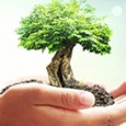 SC ADI PROD COM SERV SRL titular al proiectului «Extindere şi recompartimentare spaţiu comercial şi schimbare de destinaţie a imobilului în pensiune turistică» anunţă publicul interesat asupra luarii deciziei etapei...