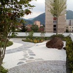 Gradina Zen la Brasov-Odu green roof