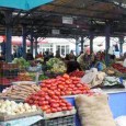           U.A.T COMUNA BROŞTENI  anunţă publicul interesat asupra depunerii solicitării de emitere a acordului de mediu pentru proiectul ”Modernizare piaţa agroalimentară Broşteni” propus a fi amplasat în intravilanul comunei Broşteni,...
