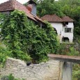 Echipa Sinaptica şi mai mulţi voluntari au documentat în Podişul Mehedinţiului procesul de ardere a varului, o activitate care încã se mai pãstreazã în acest colţ al Mehedinţiului. În plus,...