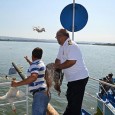                Mã fraţilor, fusei în port de Ziua Marinei, cu nerodu de Sucã şi cu al lu’ Zbanghiu, cã de fro doi ani nu mai participam, cã ştiam toatã ceremonia,...