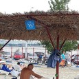                Mã fraţilor, când credeam ca nea Daea le dã lecţii multor miniştri, o dete rãu de gard cu oaia. De fapt nici mãcar cu oaia, de data asta cu...