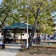                Mã fraţilor, gata mustu şi pastrama? Sã dusã şi festivalu’ ãsta, sã fãcu loc de promenadã, taman bine sã sã împodobeascã oraşu de sãrbãtori. Da pãnã atuncea mai e...