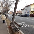                Mã nepoate, îmi spusã mie a lu’ Vasilicã, de stã lângã Tanţa lu’ Pecingine, cã pin Severinu nostru nu o sã vinã Moş Crãciun la câte unii. Pã nu...
