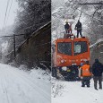 Sucã şi Pluguşorul lui 2019 Mã fraţilor, mã cetitorii mei de Obiectiv, nu ştiu cum sã fãcu, da trecu şi anu ãsta. Nu fu an prea bun, cã nu sã întâmplarã numai de alea...
