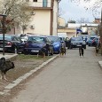 Sucã, microfonu’ din Parlament, înghesuiala candidaţilor la Primãria Severin şi eternele scandaluri di la Orşova Mã fraţilor, ieşi nea Liviu senatoru’ la microfon, în Parlament. Sã minunarã moaştele, sã închinarã colegii, scuipirã în sân amazoanele, sã tãvãlirã ãi di la haştag rezist pe jos,...