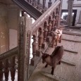Sucã, Cuc şi luminile lu’ Decebal di la Mraconia, pieţele pustii ale Severinului şi caprele din Castelul Pleşa Mã nepoate, fu lume preamãritã pi la noi pi la Mehedinţi zilele trecute, cã la bairamuri sã întrec unii pe alţii sã participe. Acuma nu ar fi rãu dacã...