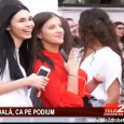 Sucã şi şcoala severineanã de modã, parapeţii cu scandal şi epopeea candidaturii lu’ nea Gherghe Mã nepoate, începu şcoala, aproape sã fãcu zaibãru, e semn cã trebe uşor-uşor sã ne pregãtim de tãiatu’ lemnelor cã ne prinde iarã iarna pe nepregãtite. Şi iarã vine...
