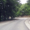 Anunţ public privind decizia etapei de încadrare COMUNA PONOARELE, titular al proiectului „Modernizare drum comunal DC 57A”, anunţă publicul interesat asupra luării deciziei etapei de încadrare de către Agenţia pentru Protecţia Mediului Mehedinţi. în cadrul procedurilor...