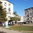    Mã nepoate, primi Sucã un mesaj di la cetitorii din Orşova, cã cicã sã tot uitã oamenii dupã maidanezi, sã vazã dacã nu care cumva umblã cu covrigii în...