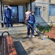 Afaceri sub Starea de Urgenţã: Dezinfecţie de aproape 47.000 de euro la Orşova În general, disperarea e maximã în aceste momente cumplite, în care un inamic nevãzut şi perfid ne pândeşte, pentru a ne ucide fãrã milã. Criza e crizã, pandemia e...
