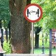 Ce câştigãm şi ce pierdem? Ce câştigãm, şi ce pierdem în criza covid? Poate cã e prematur sã ne punem astfel de întrebãri, încã nu am ajuns la un capãt de drum prielnic pentru...