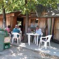 Minciuni vechi pentru mandate noi Minciuni vechi pentru patru ani noi au fost proliferate în ultima lunã la televizor şi pe reţelele de socializare. Sunt politicieni vechi trecuţi la partide noi, în speranţa cã vor...