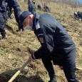 171 de stejari pentru România Jandarmii mehedinţeni, alãturi de reprezentanţii Ocolului Silvic Drobeta Turnu Severin au participat, în data de 25 martie a.c., la o actiune de împãdurire. Aceasta s-a desfãşurat în zona Topolova,...