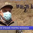 LUNA PLANTÃRII ARBORILOR Şi în acest an, în judeţul Mehedinţi, LUNA PLANTÃRII ARBORILOR s-a dorit a se constitui într-o veritabilã sãrbãtoare a sãdirii arborelui, pe lângã latura practico – organizatoricã, aceastã acţiune...