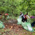   Se împlinesc aproape douã luni de când a început cea mai amplã acţiune de ecologizare în Geoparcul PLATOUL MEHEDINŢI. Pe 4 aprilie 2021, MARATONUL ECOLOGIZÃRII demara în comuna Ponoarele,...