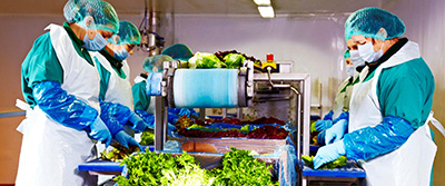 În cele peste trei decenii de activitate în România, Eisberg, cel mai important jucător pe piaţa salatelor gata de consum, şi-a construit o excelentă reputaţie bazată, înainte de orice, pe...